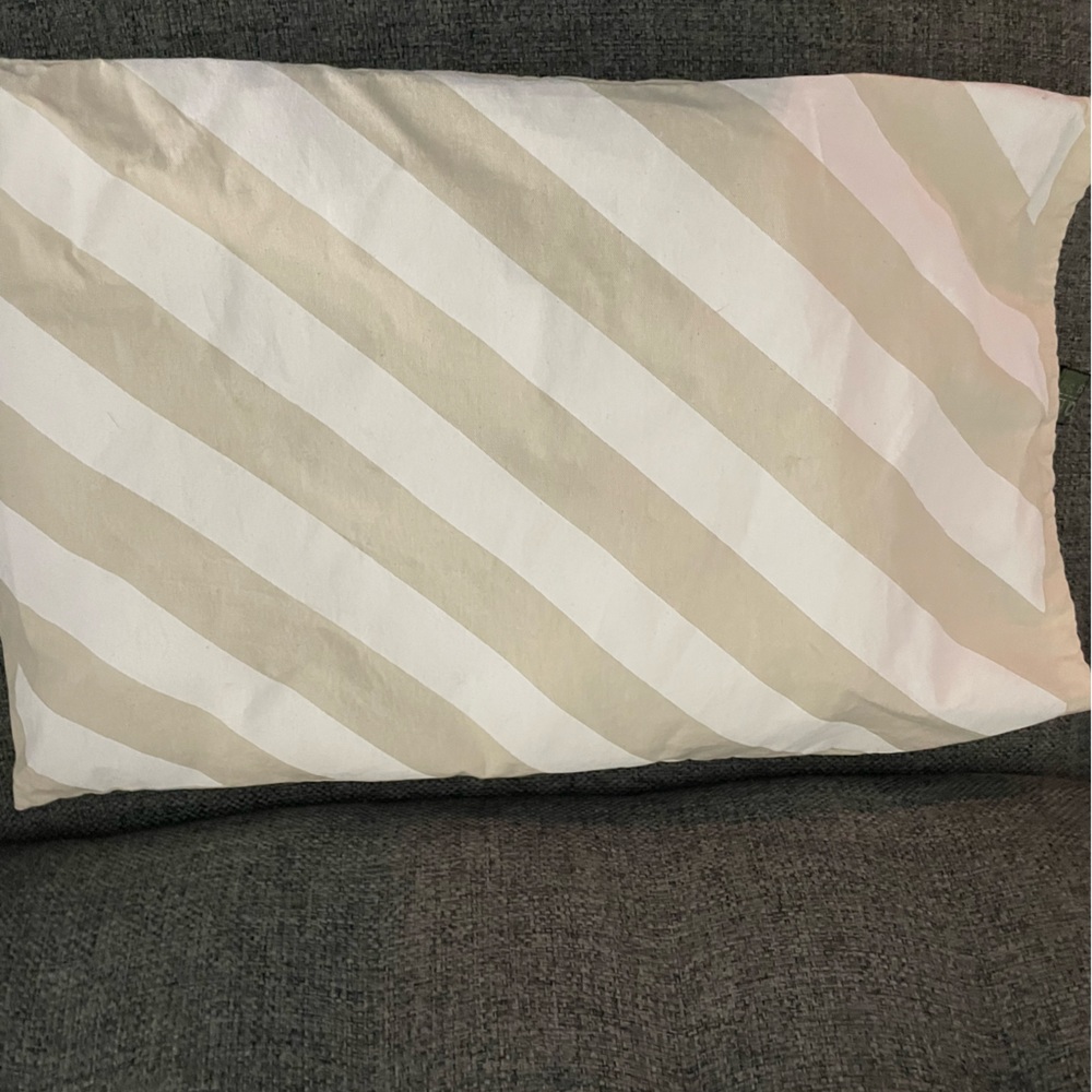 Off-White Backpack in camp